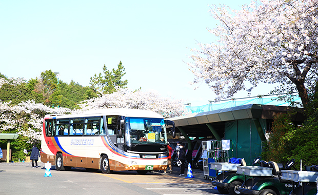 ［画像］アクセス